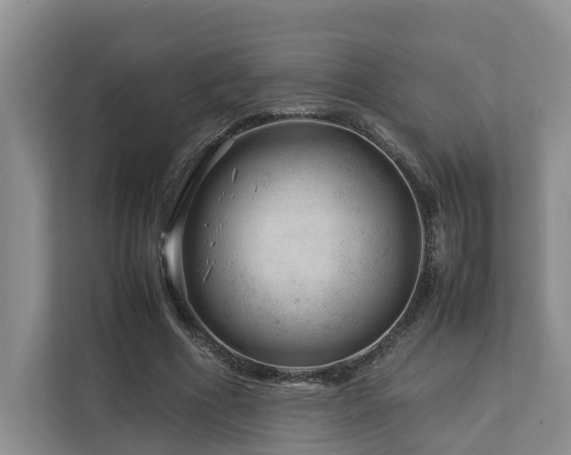 X0000112750586200908201419