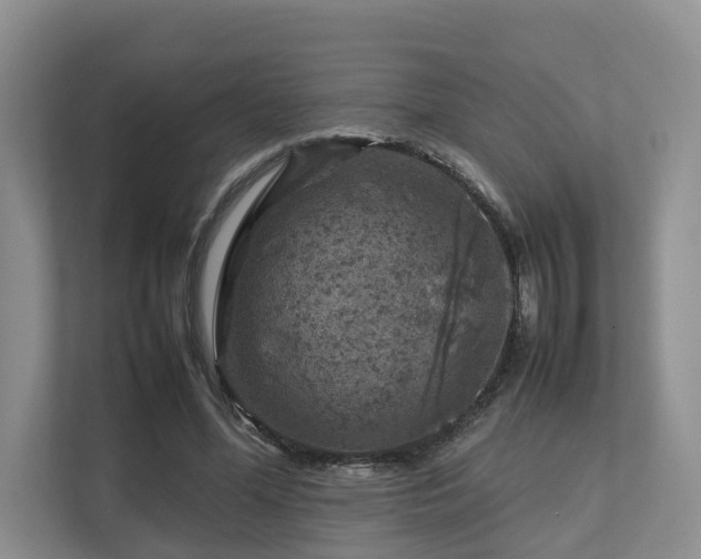 X0000112750588200908201419