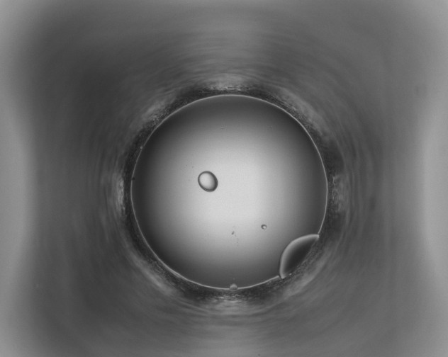 X0000112750589200908201419