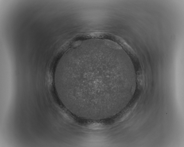 X0000112750593200908201419