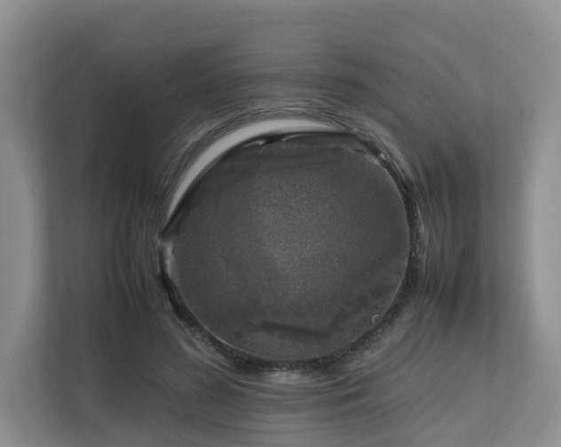 X0000112750596200908201419