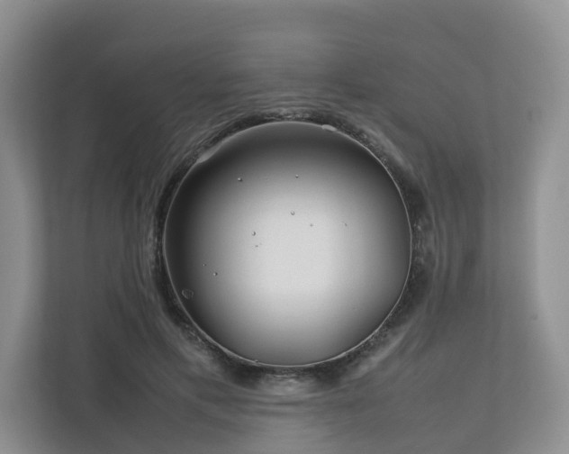 X0000112750597200908201419