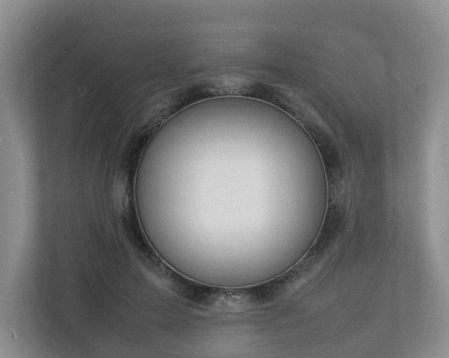 X0000112750599200908201419