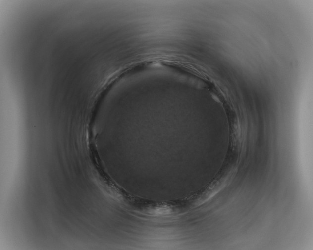 X0000112750600200908201419