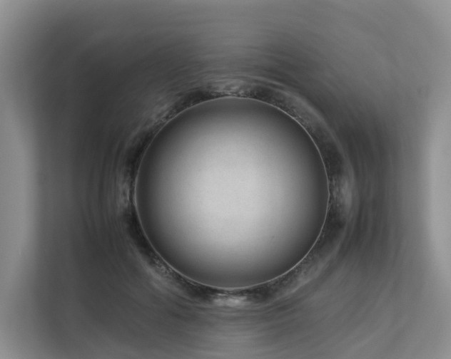 X0000112750602200908201419