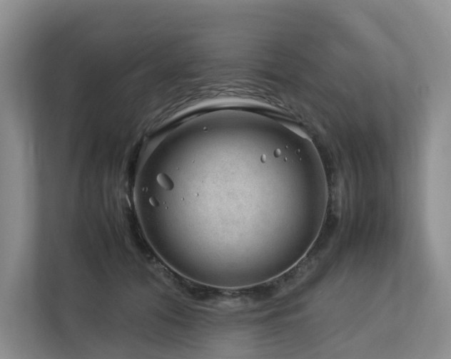 X0000112750608200908201419