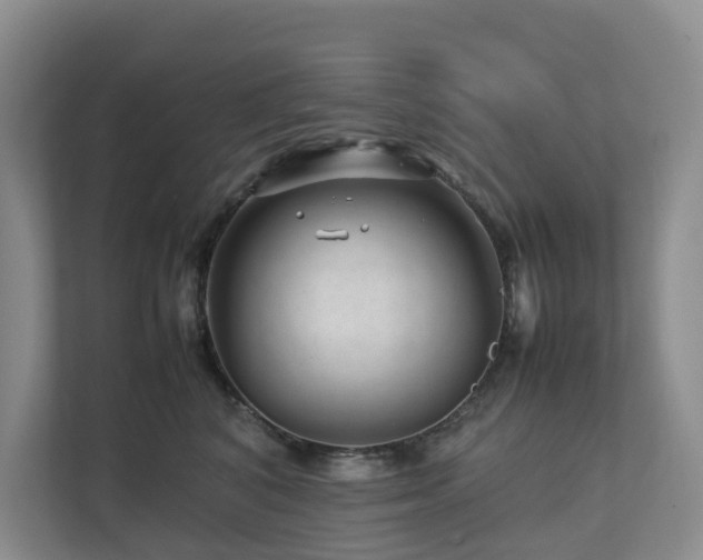 X0000112750616200908201419