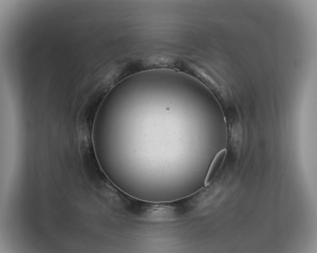 X0000112750617200908201419