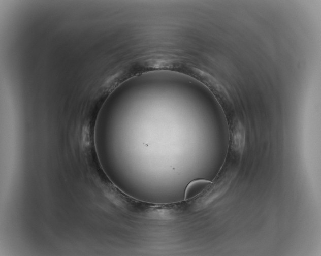 X0000112750620200908201419