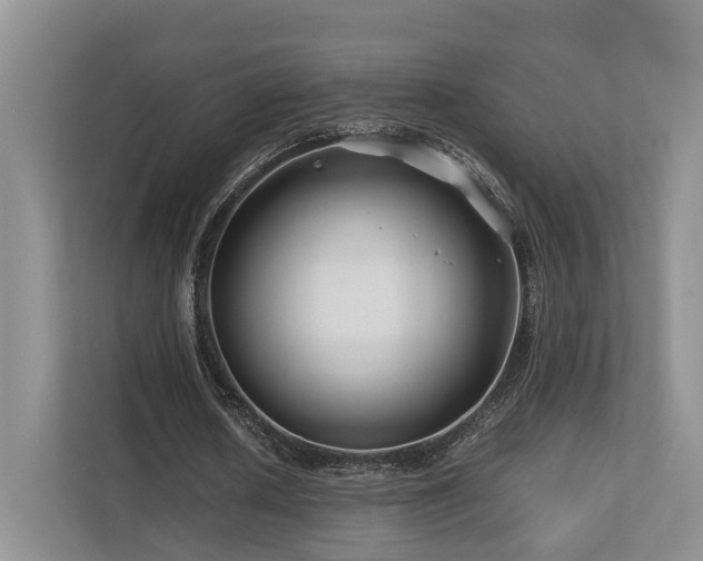 X0000112750626200908201418