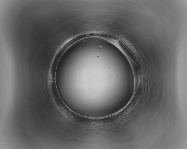 X0000112750628200908201418