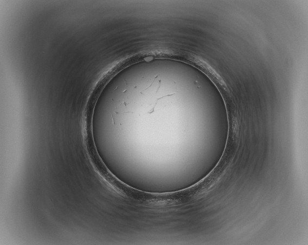 X0000112750629200908201418