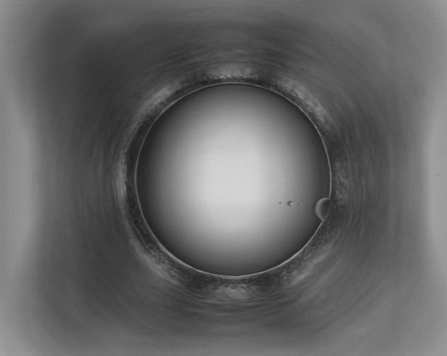 X0000112750631200908201418