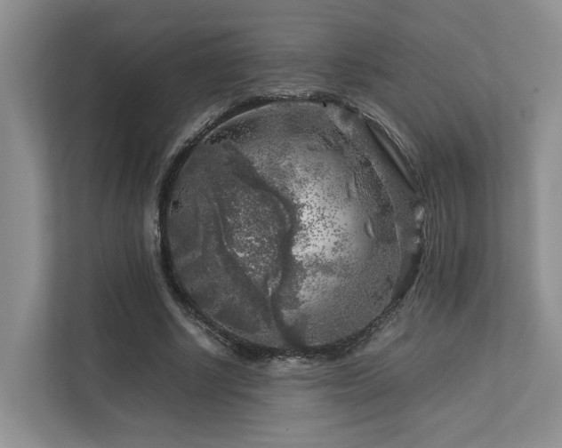 X0000112750634200908201418