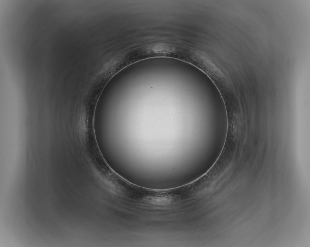 X0000112750639200908201418