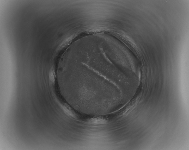 X0000112750644200908201418