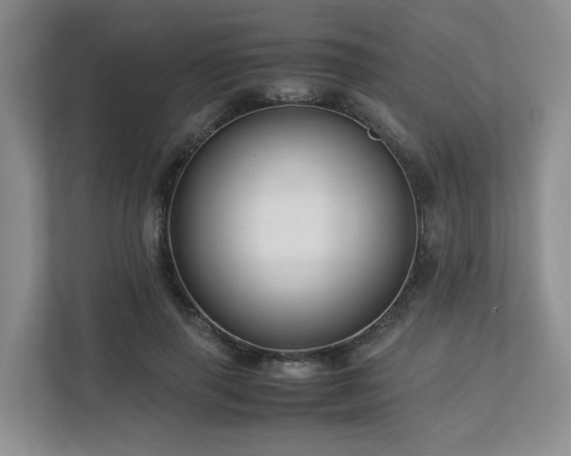 X0000112750645200908201419