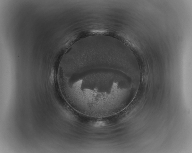 X0000112750647200908201419