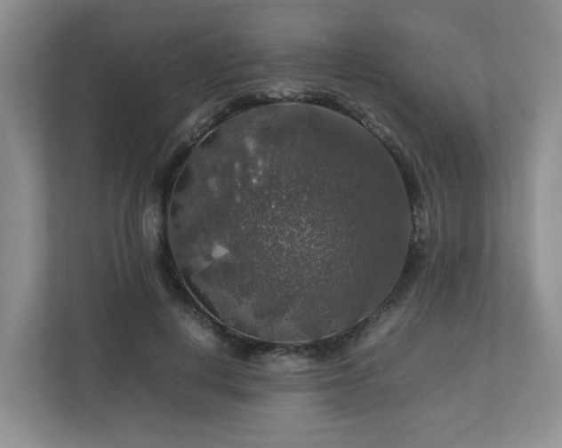 X0000112750648200908201419