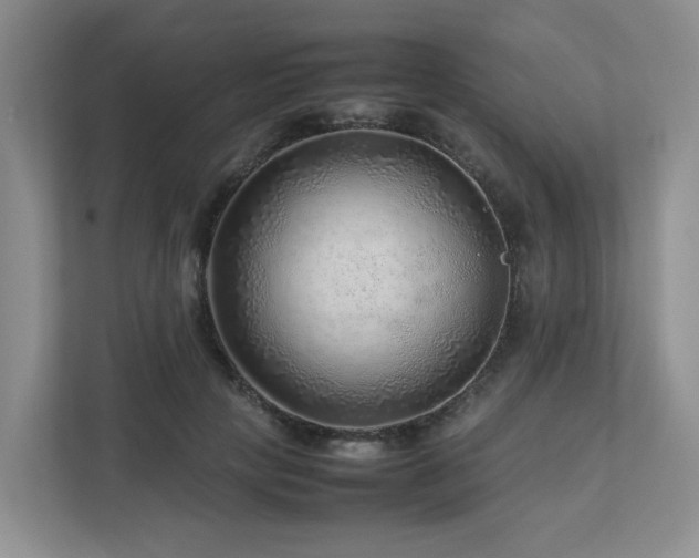 X0000112750649200908201419