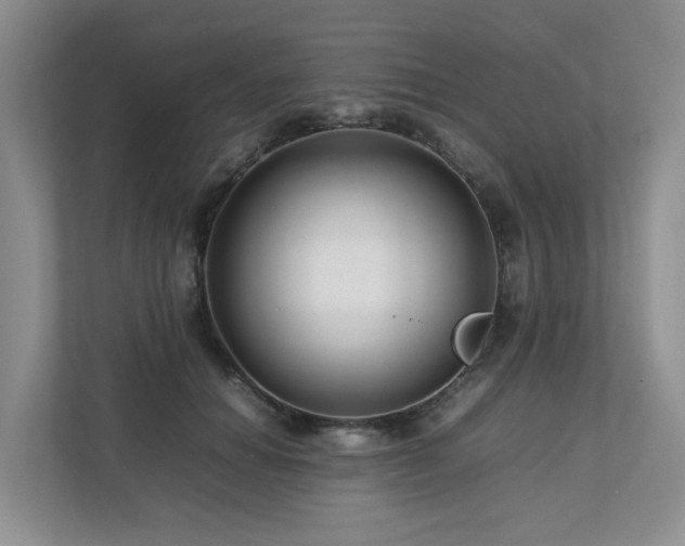 X0000112750654200908201419