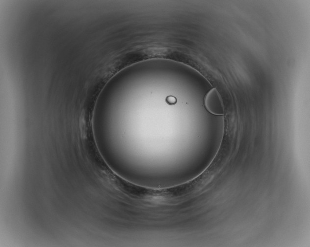 X0000112750655200908201419