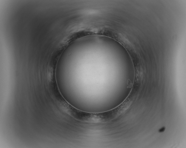 X0000112750656200908201419