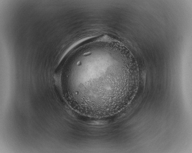 X0000112750657200908201419