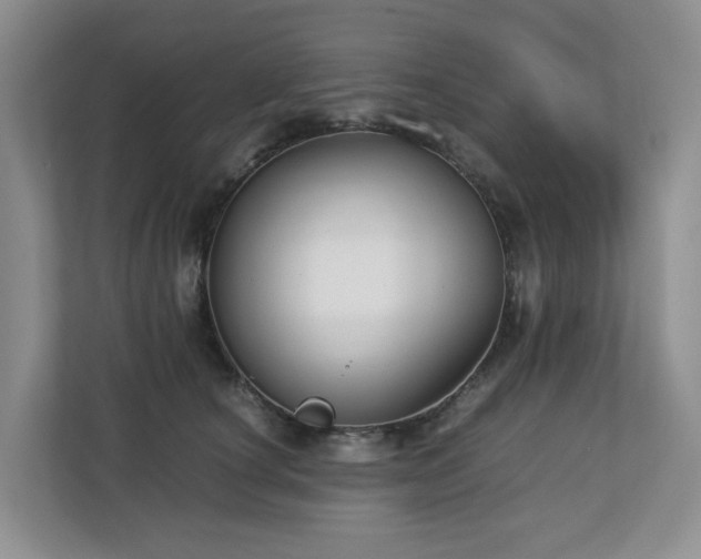 X0000112750660200908201419