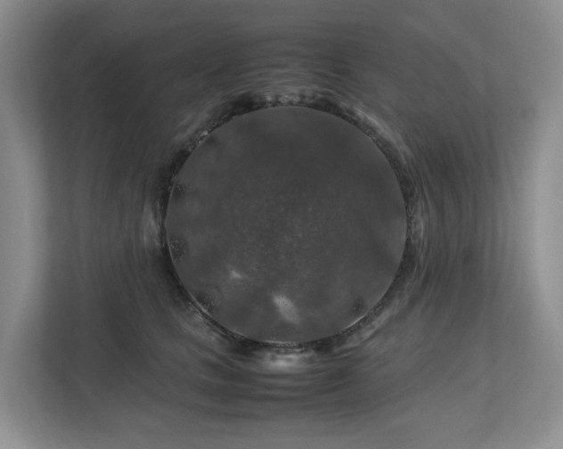 X0000112750661200908201419