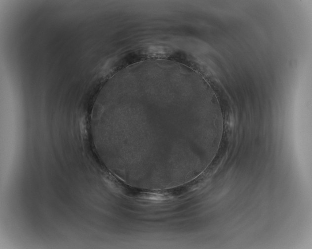 X0000112750663200908201419