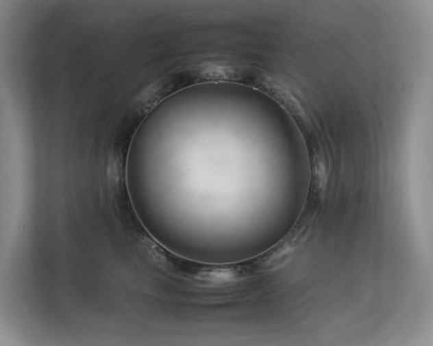 X0000112750665200908201419