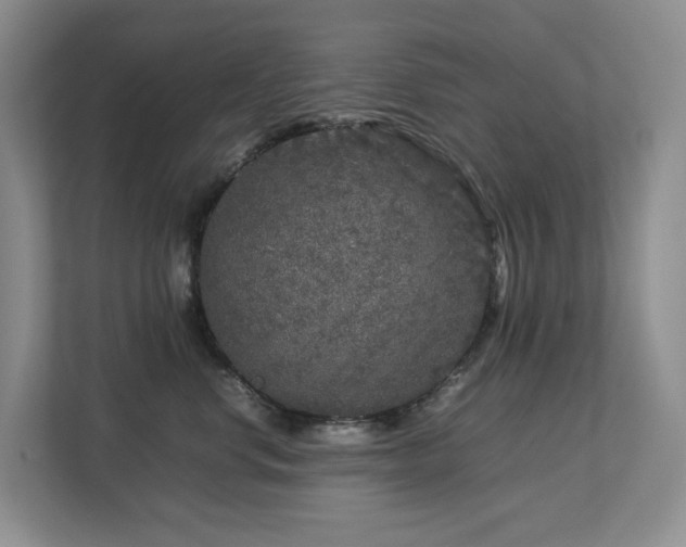 X0000112750668200908201419