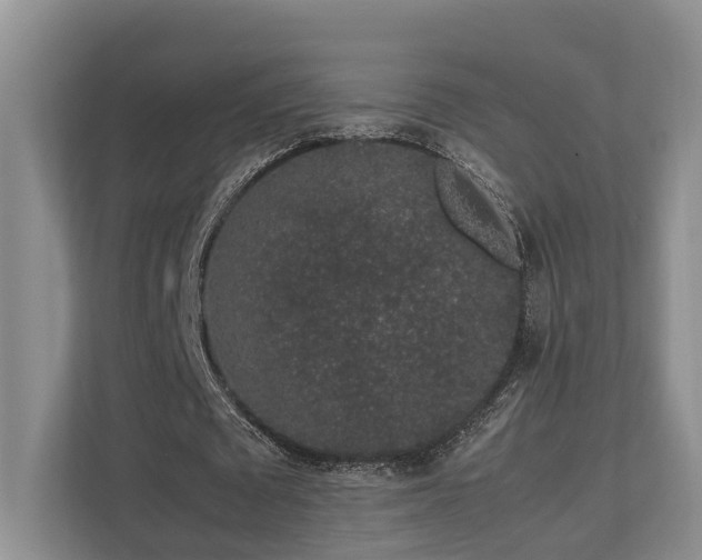 X0000112750673200908201418