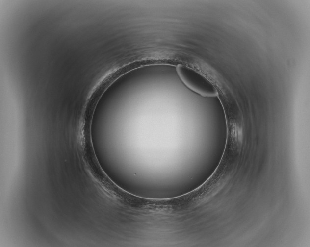 X0000112750676200908201418