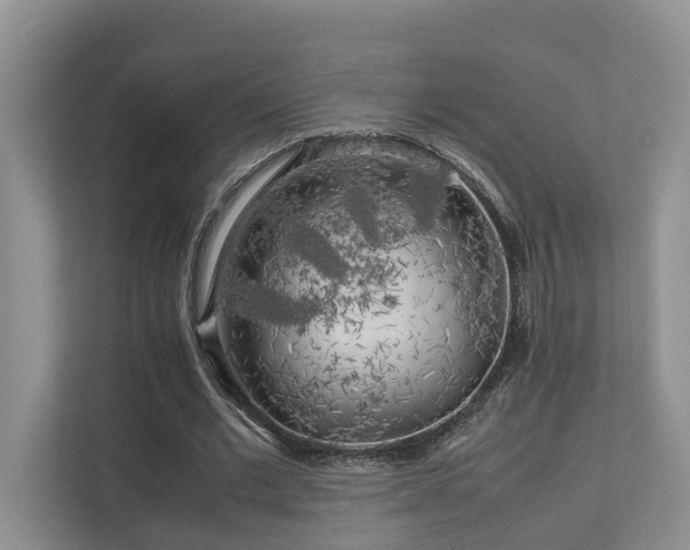 X0000112750677200908201418