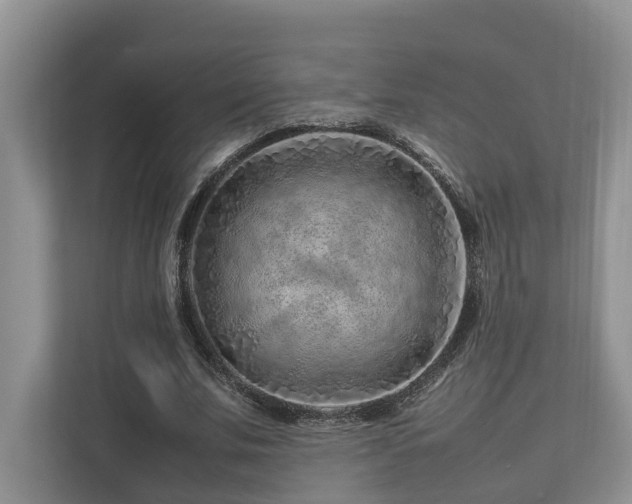 X0000112750679200908201418