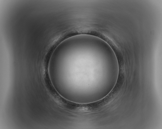 X0000112750687200908201418