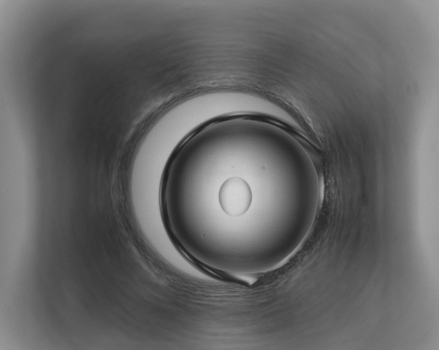 X0000112750688200908201418