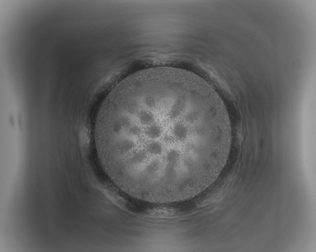 X0000112750691200908201418