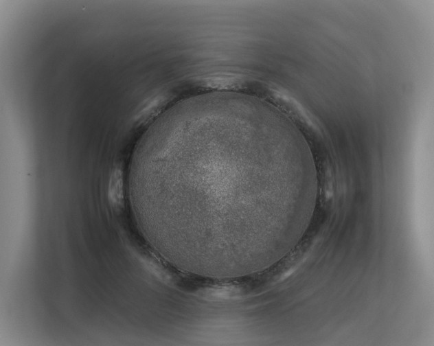 X0000112750696200908201418