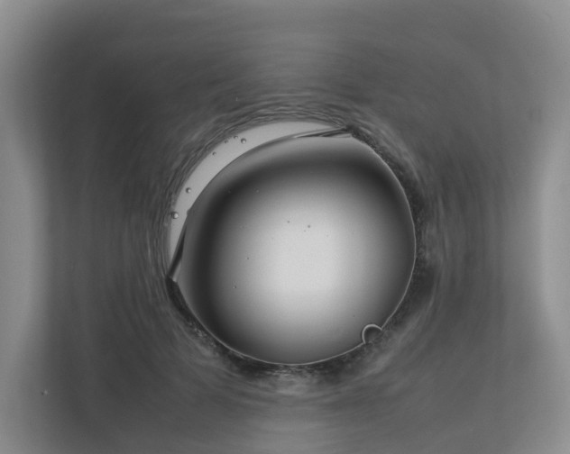 X0000112750697200908201418