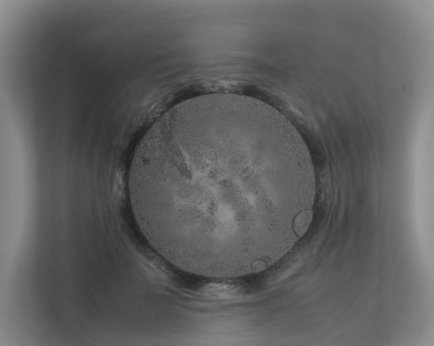 X0000112750699200908201418