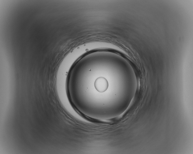 X0000112750701200908201418