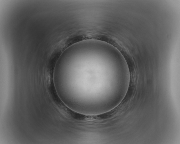 X0000112750703200908201418