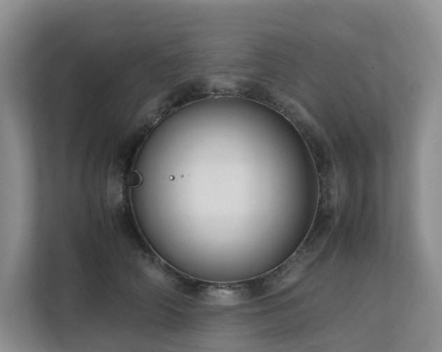 X0000112750706200908201418