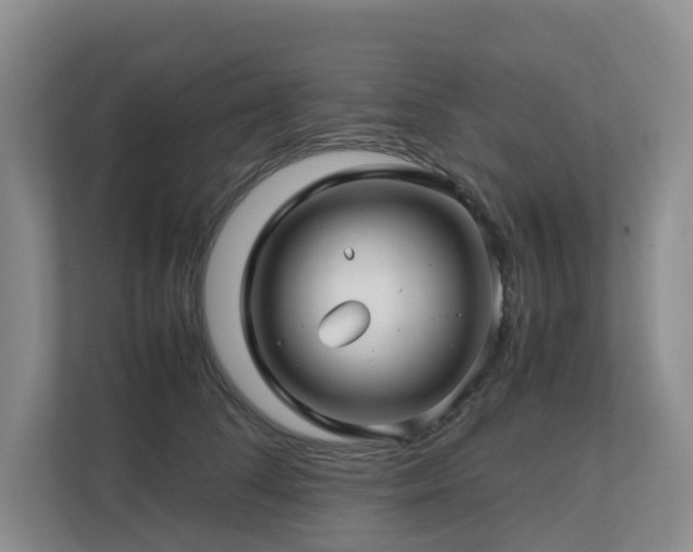 X0000112750708200908201418