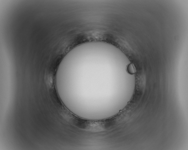 X0000112750709200908201418