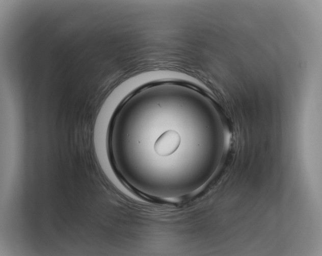 X0000112750716200908201418