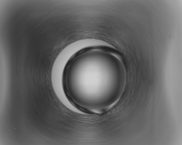 X0000112750720200908201418